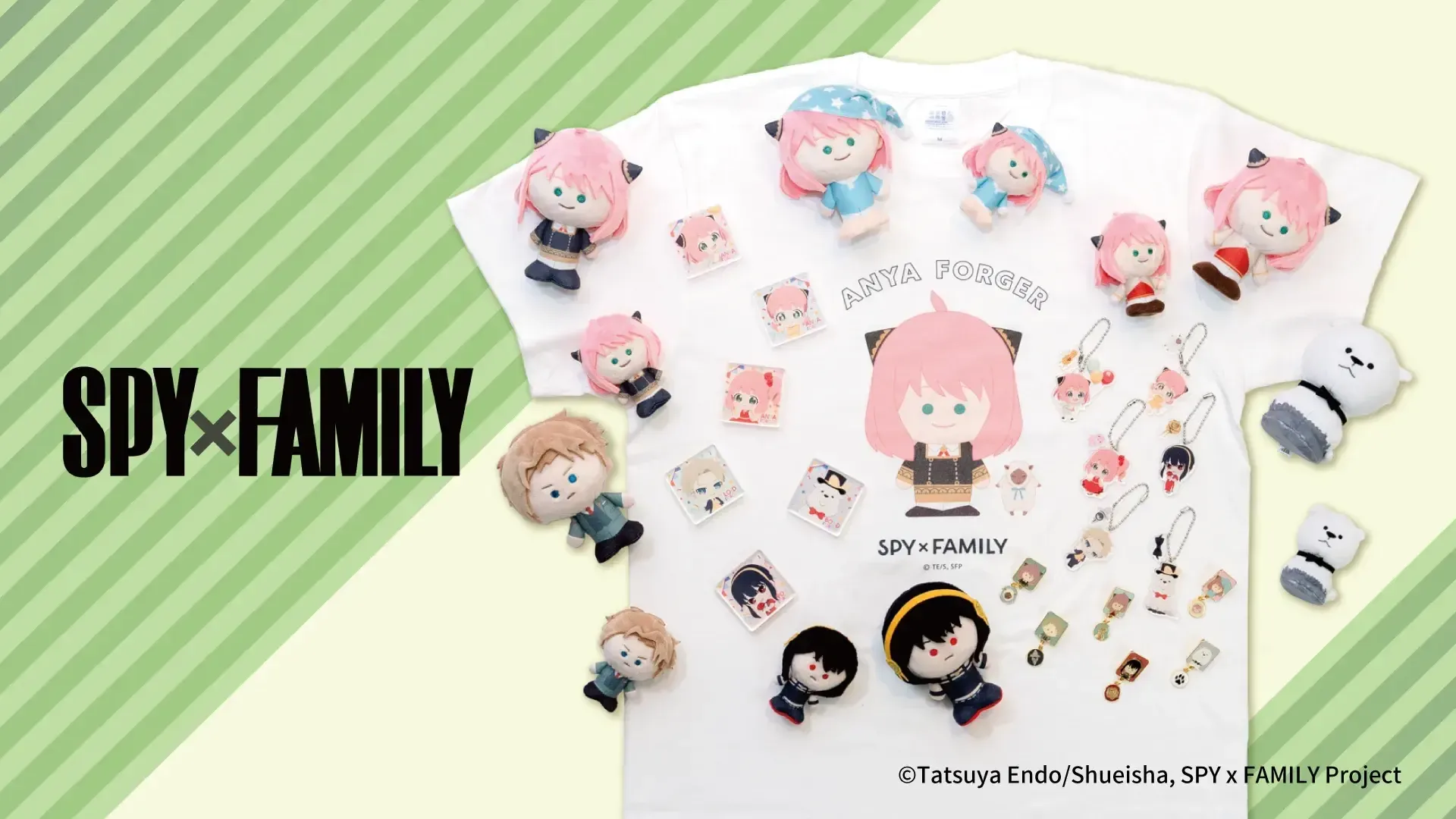 Spy x Family collectibles